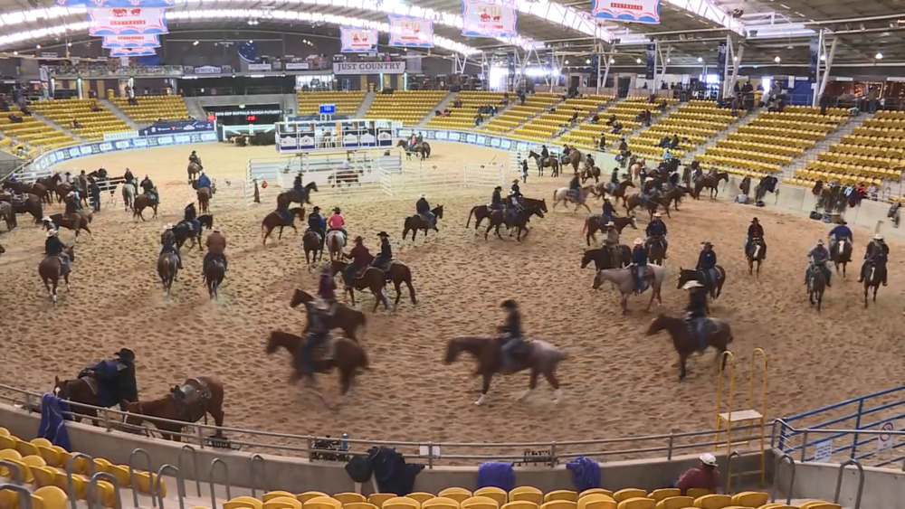 NCHA FUTURITY BRINGING THE BEST TO THE RING AT AELEC NBN News