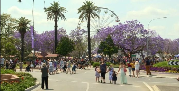 2019 JACARANDA FESTIVAL BEST EVER – NBN News