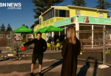 LEXIE’S RE-OPENS FOR THE FIRST TIME IN MONTHS