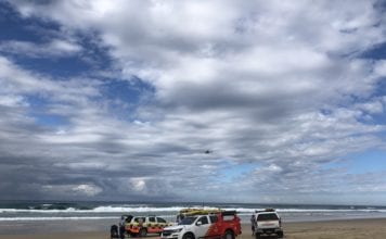 GREAT WHITE SHARK MAULS QUEENSLAND SURFER