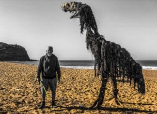 COAST ARTIST AND HIS DRIFTWOOD SCULPTURES