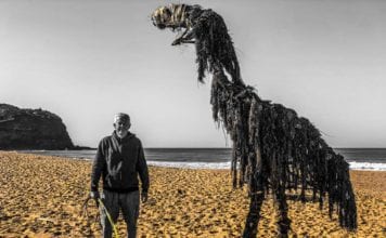 COAST ARTIST AND HIS DRIFTWOOD SCULPTURES
