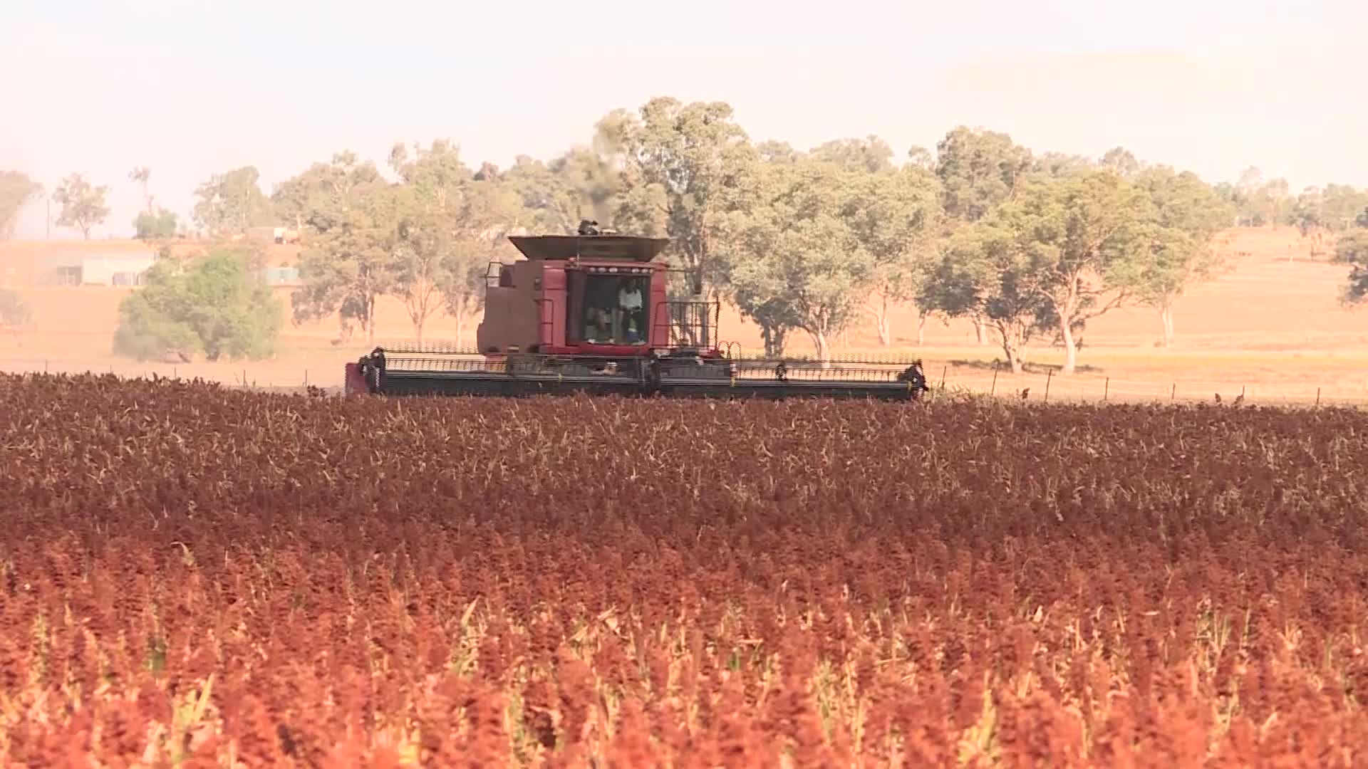 PLANS TO EXPAND AUSTRALIA’S AGRICULTURE INDUSTRY NBN News