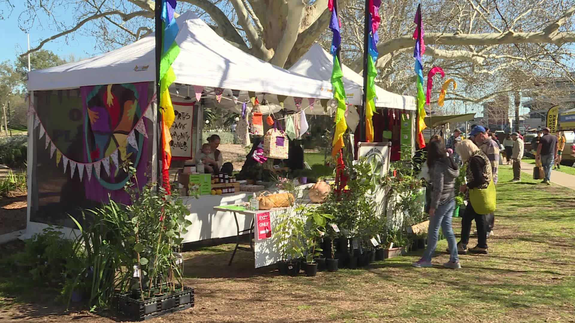 NBN News | TAMWORTH GROWERS' MARKET REOPENS FOR BUSINESS