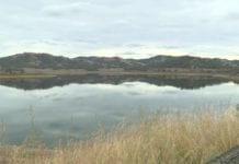 ALGAE ALERT LIFTED ON CHAFFEY DAM