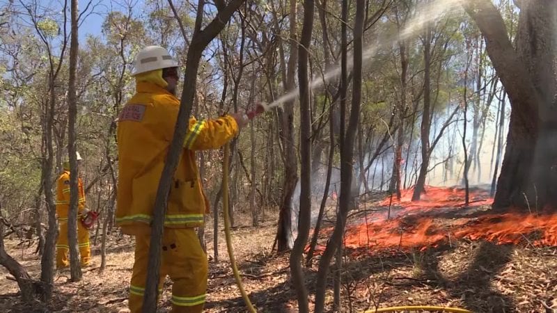 BUSHFIRE RISK MANAGEMENT PLAN OPEN FOR PUBLIC CONSULTATION – NBN News