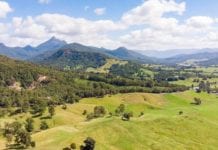 RUMORS SPREADING MOUNT WARNING MAY BE PERMANENTLY CLOSED