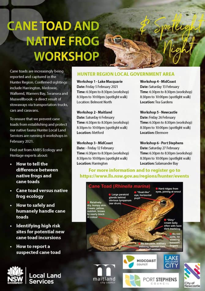 CANE TOAD EDUCATION THROUGH FREE TO COMMENCE NBN News