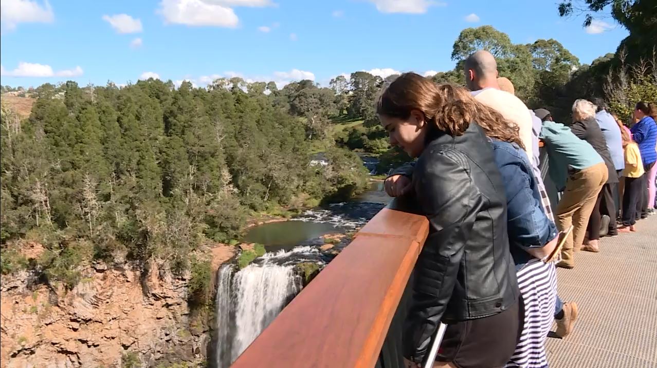 are dogs allowed at dangar falls