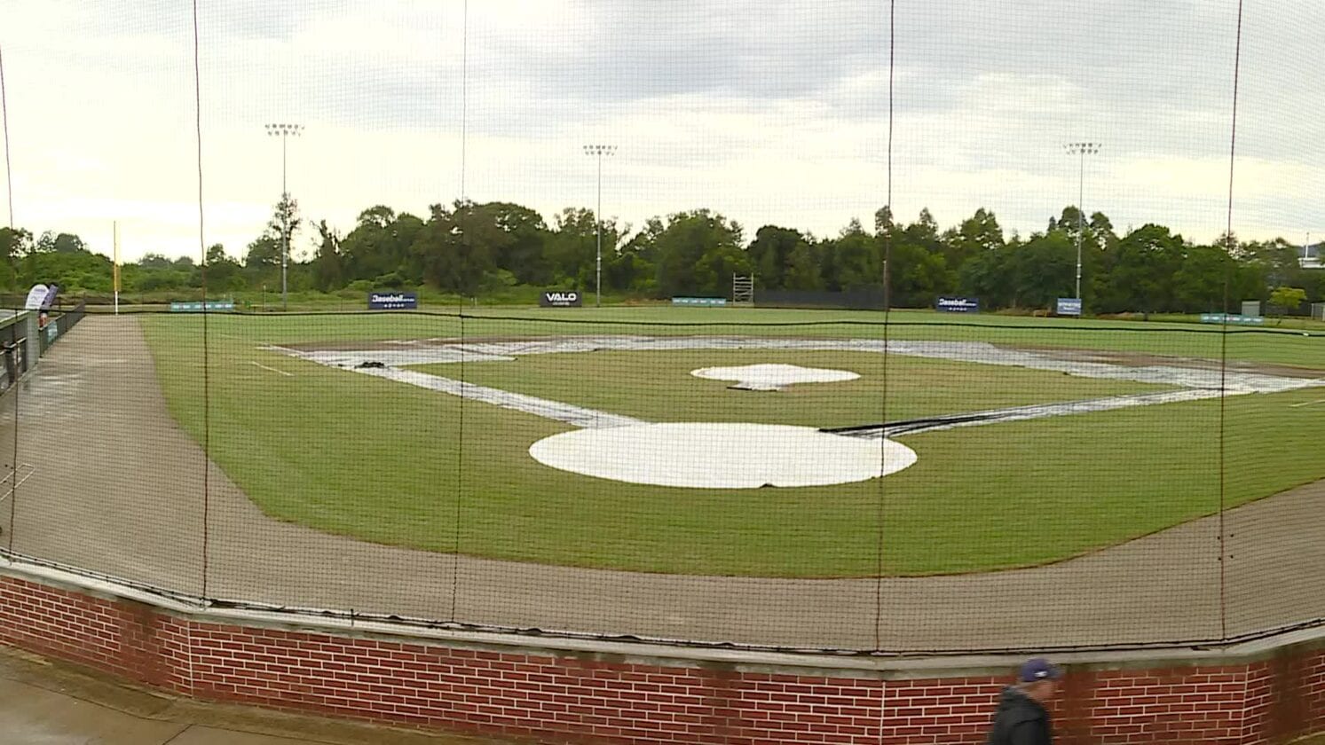 WET WEATHER DELAYS NATIONAL BASEBALL CHAMPIONSHIPS IN LISMORE – NBN News