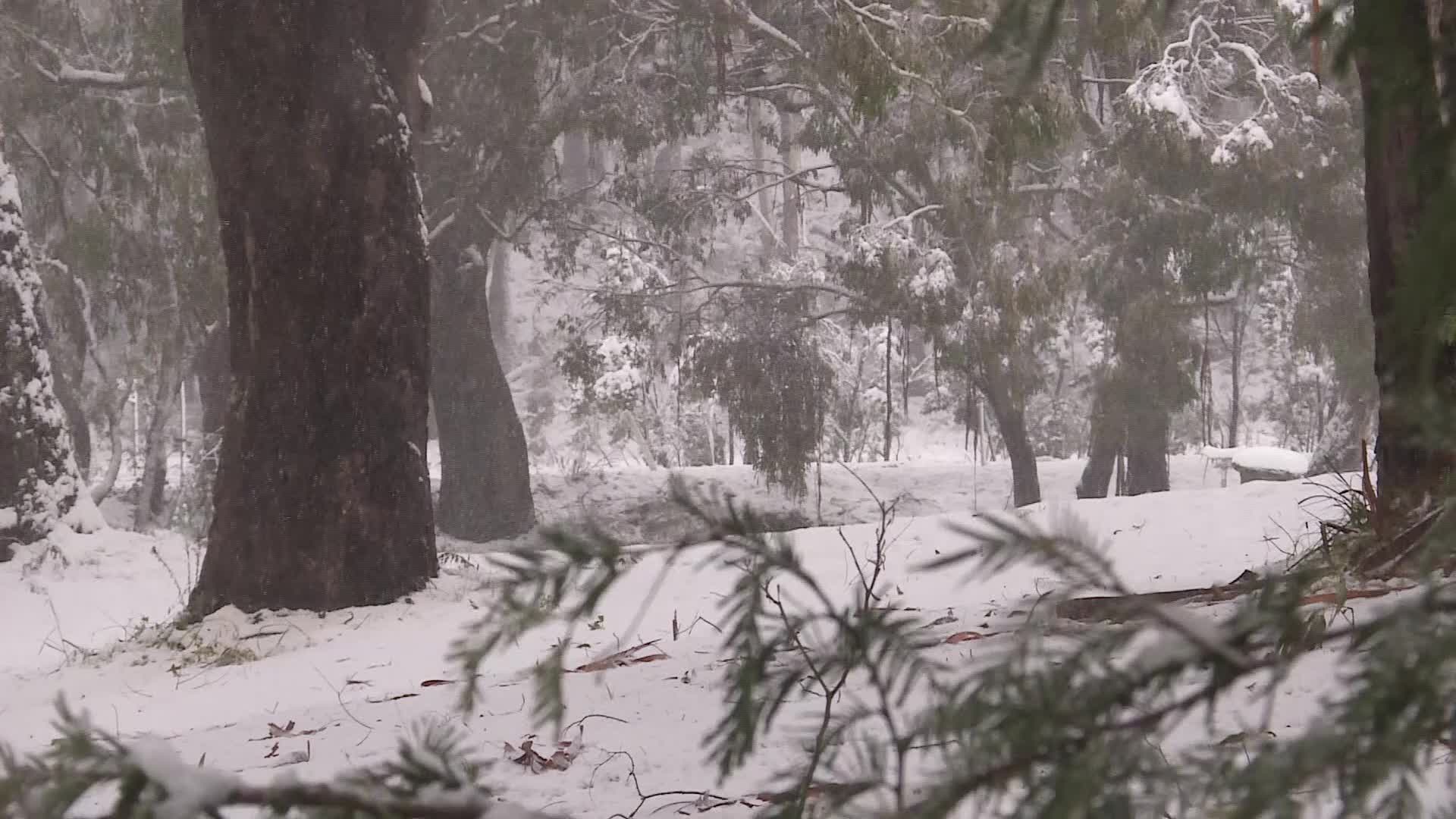 Nbn News Let It Snow Hanging Rock Covered In Sea Of White