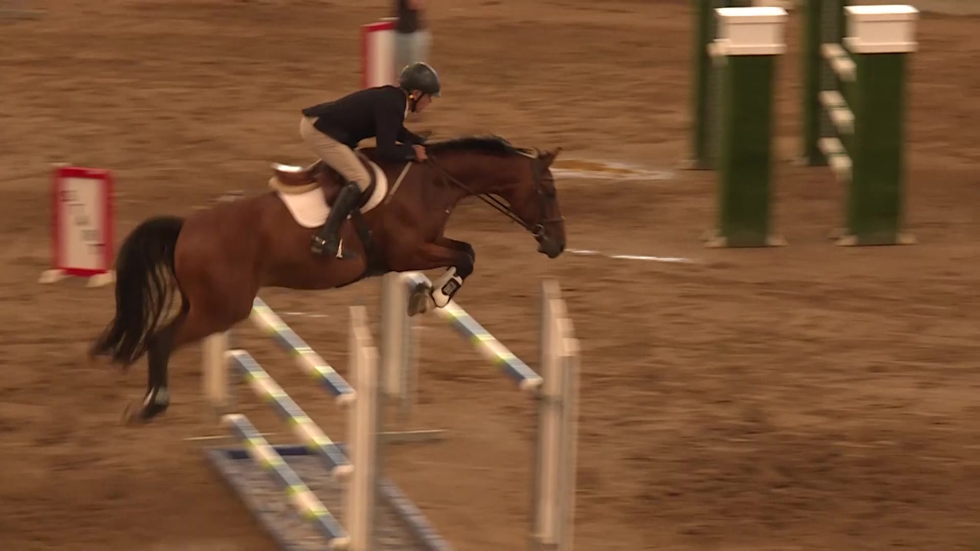 WORLD CUP SHOW JUMPING TO RETURN TO TAMWORTH AFTER HIATUS NBN News