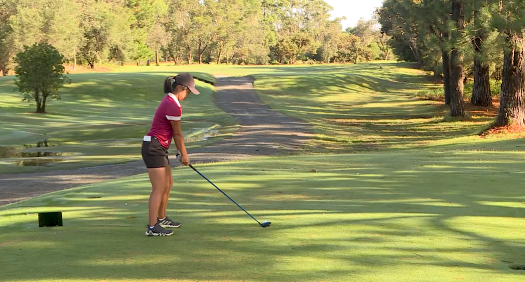 Starstudded field tees off in NSW Women’s Open NBN News