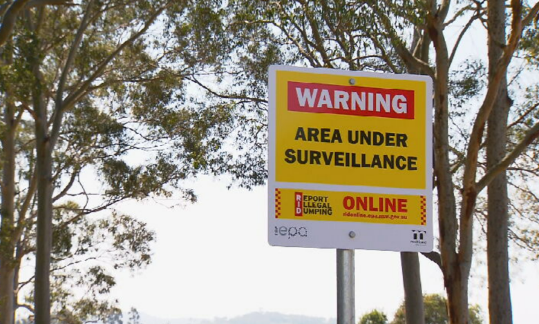 Council issues warning after digging for bardi grubs damages bushland - ABC  News