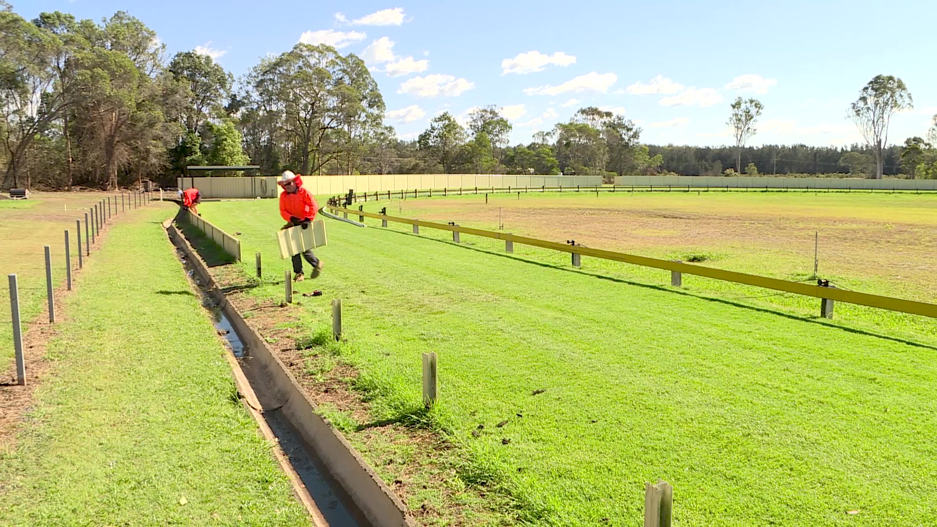 Construction begins on Taree’s Greyhound track NBN News