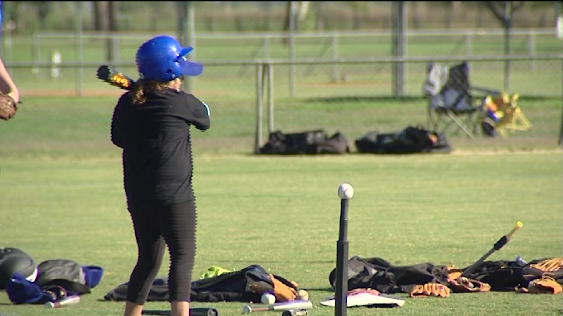 Junior Baseball makes a return to Tamworth – NBN News