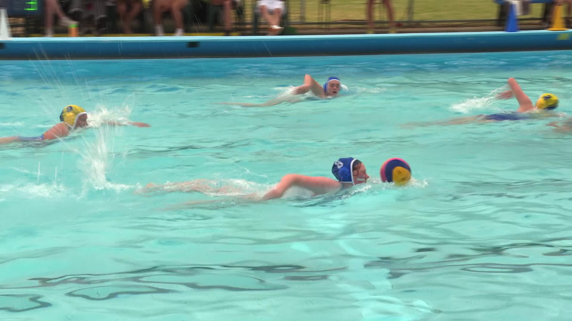 Tamworth hosts CHS Water Polo State Championships NBN News