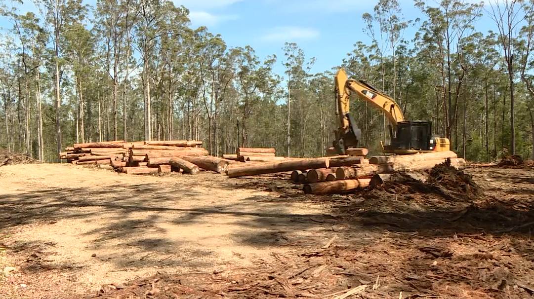 Forestry Corporation gives inside look at Mid North logging operations ...