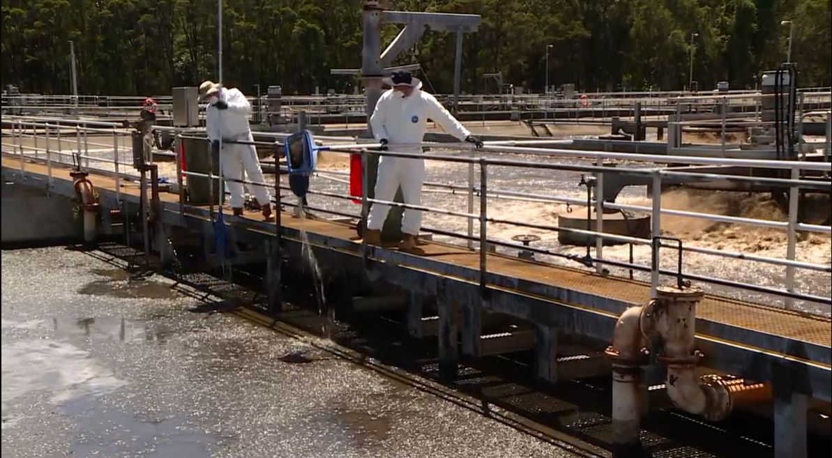 Council works to clear illegally dumped oil from Port Macquarie sewage