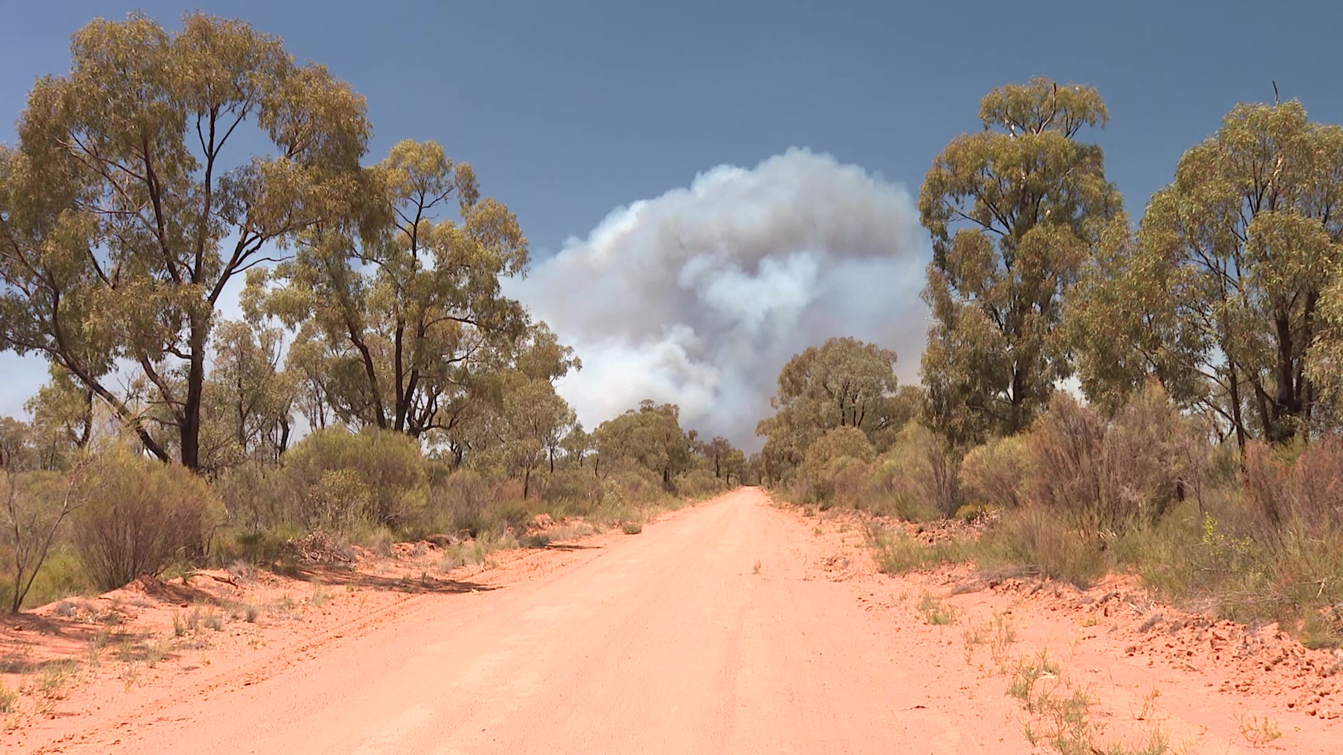 Duck Creek fire being controlled in Pilliga Forest NBN News