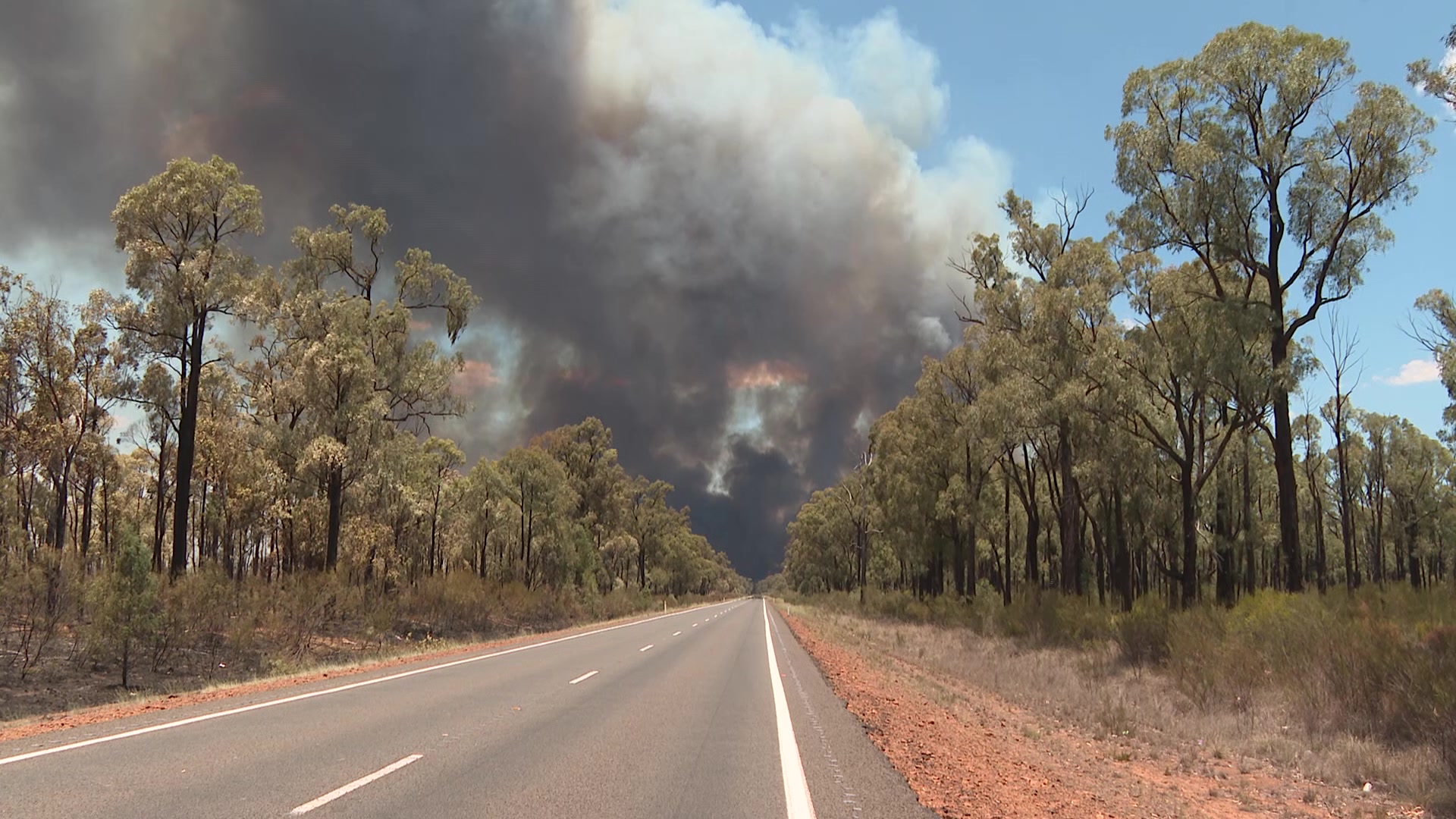 Duck Creek Fire flares up in Pilliga Forest NBN News