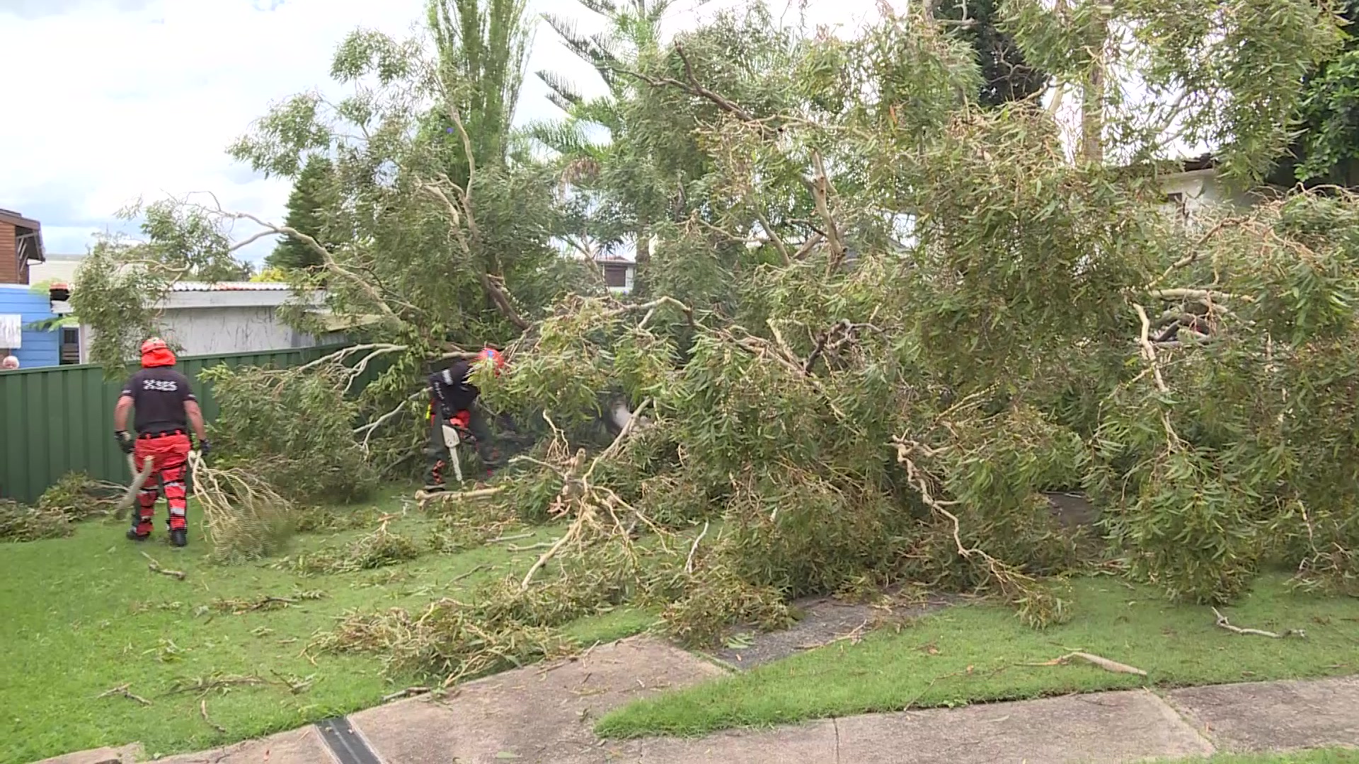Wild Weather Strikes NSW Regions NBN News wild-weather-strikes-nsw-regions-nbn-news