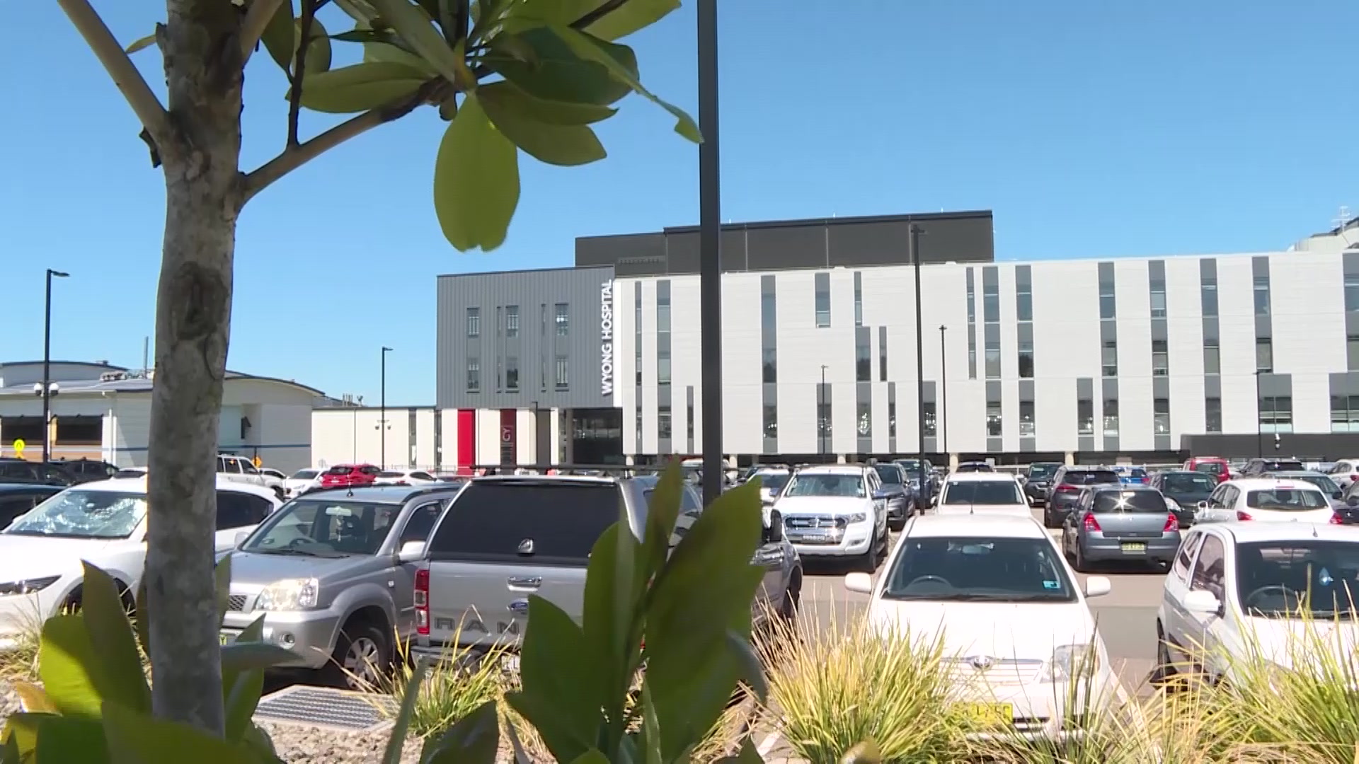 Winonas Jail Could This Roster Data Be Wrong The Community Demands Answers - msta64m