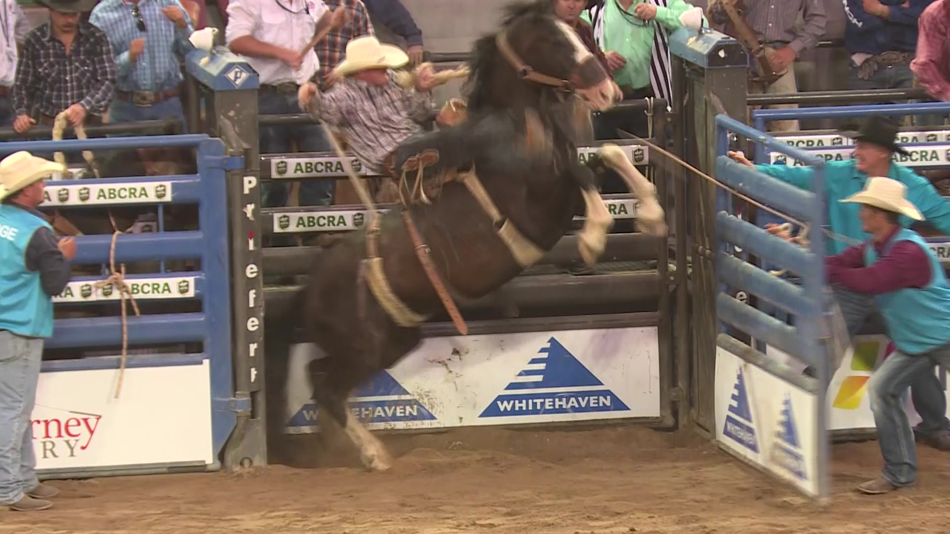 Australia’s top rodeo riders start ABCRA NFR competition NBN News