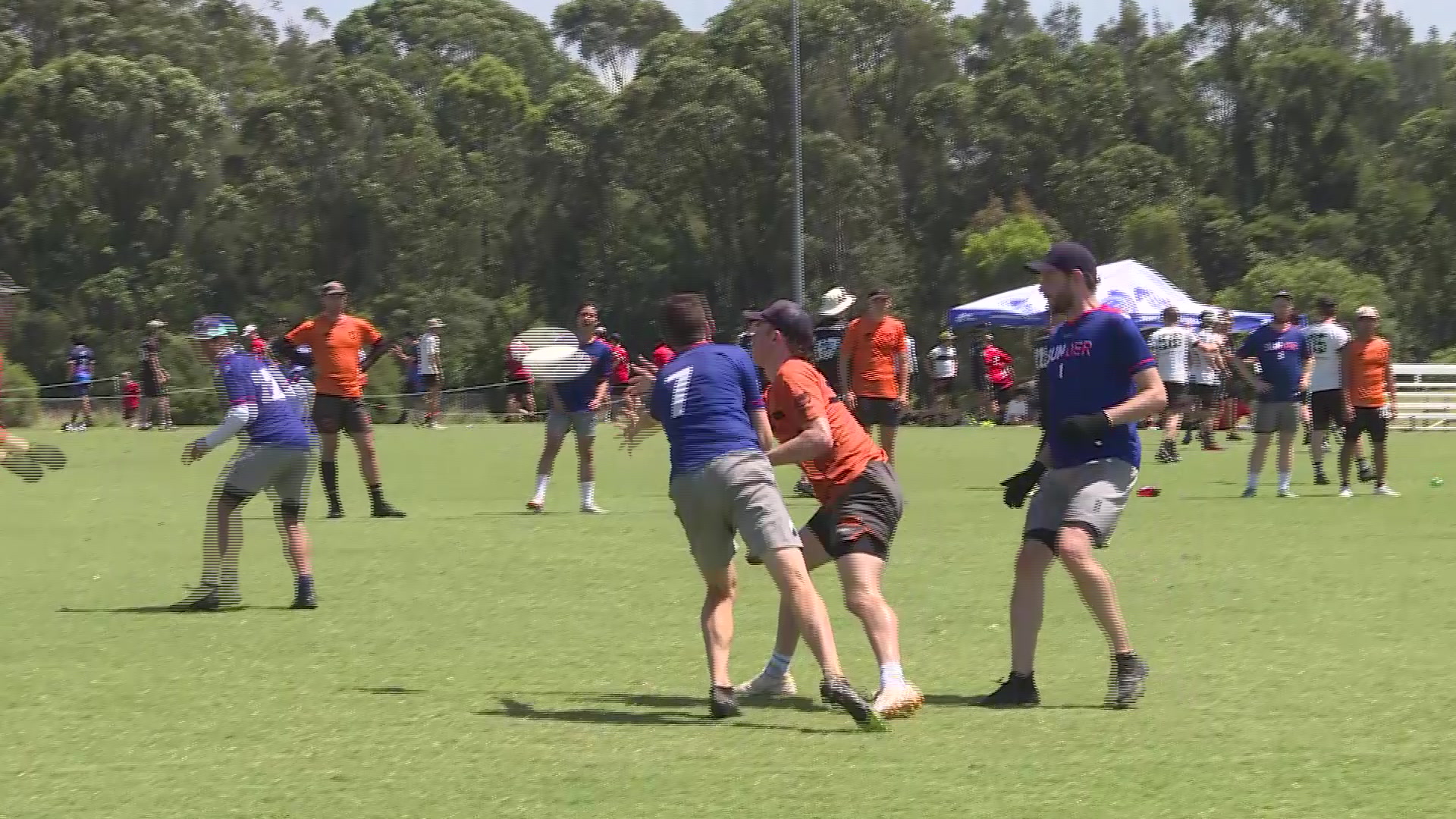 Actionpacked weekend of Ultimate Frisbee on the Central Coast NBN News