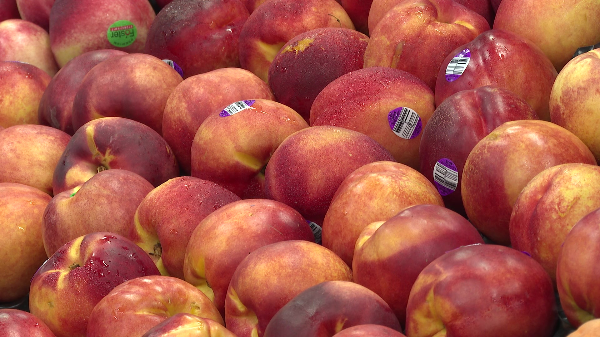 fruit-and-vegetable-prices-drop-up-to-15-nbn-news