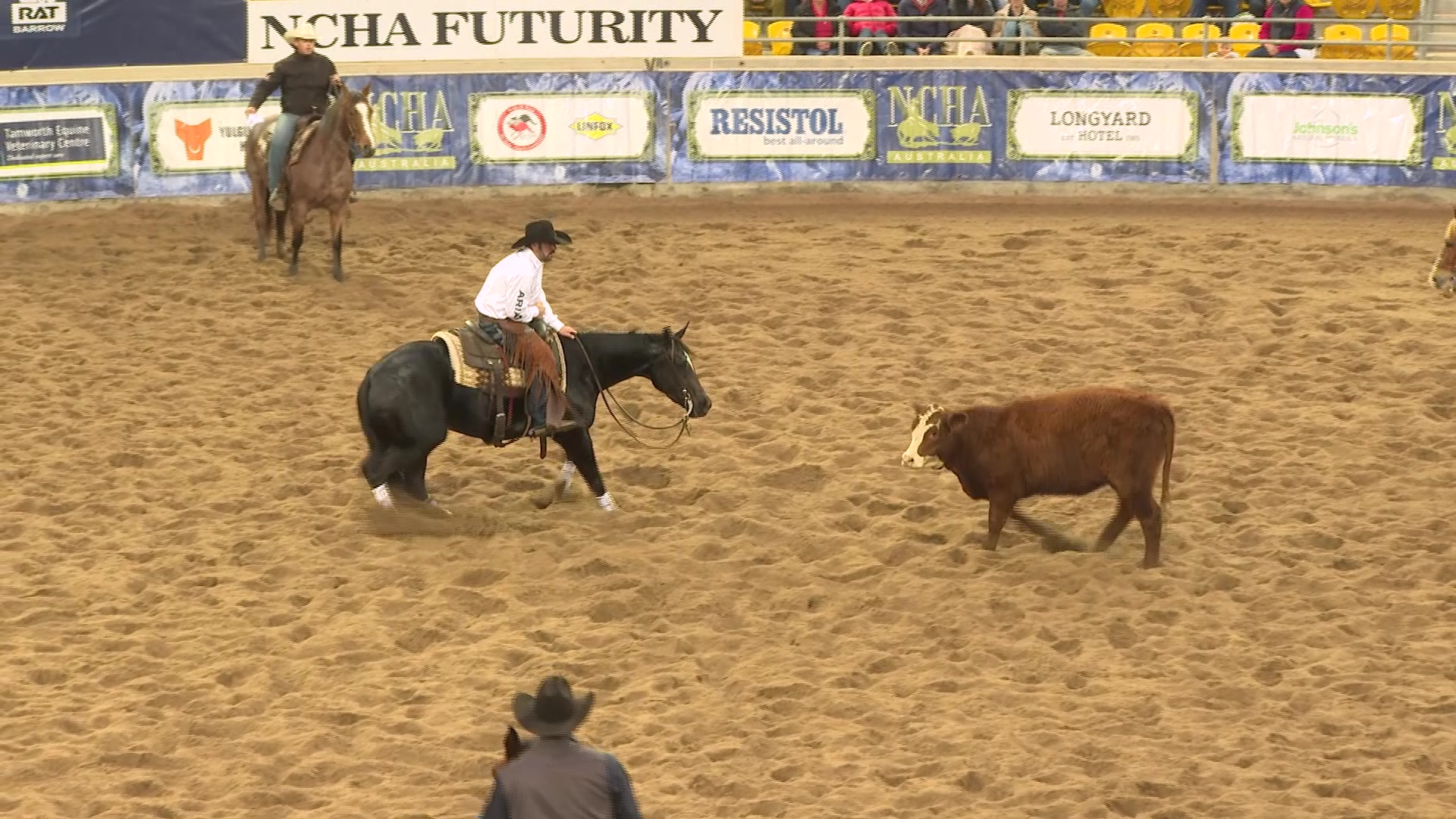 North West shines in NCHA Futurity Open Final NBN News