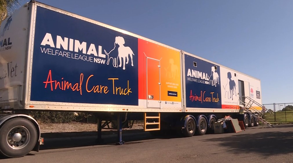 AWL NSW mobile vet clinic drops into Tamworth NBN News
