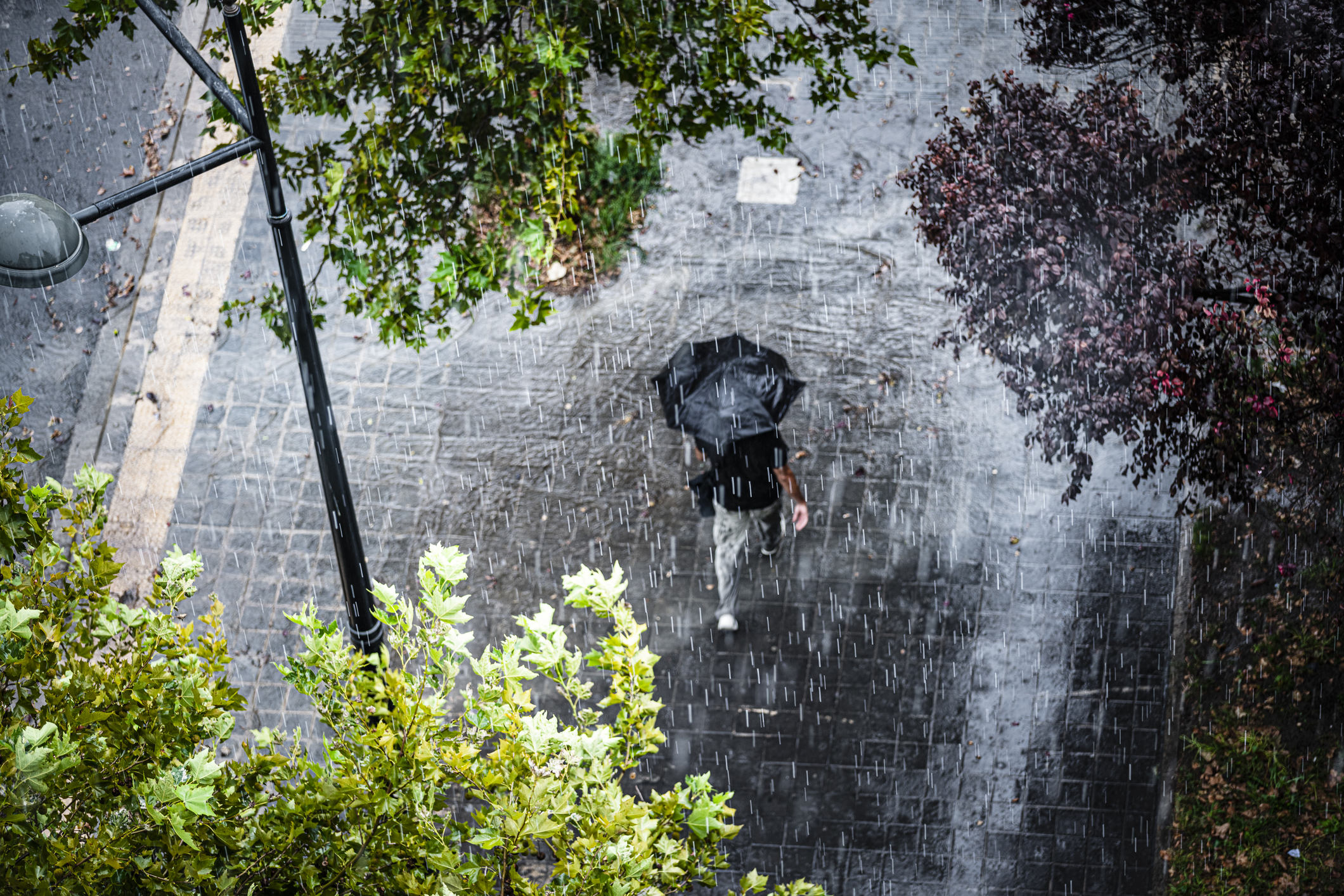 East coast heading for huge drenching, warning of rainfall up to 150mm ...