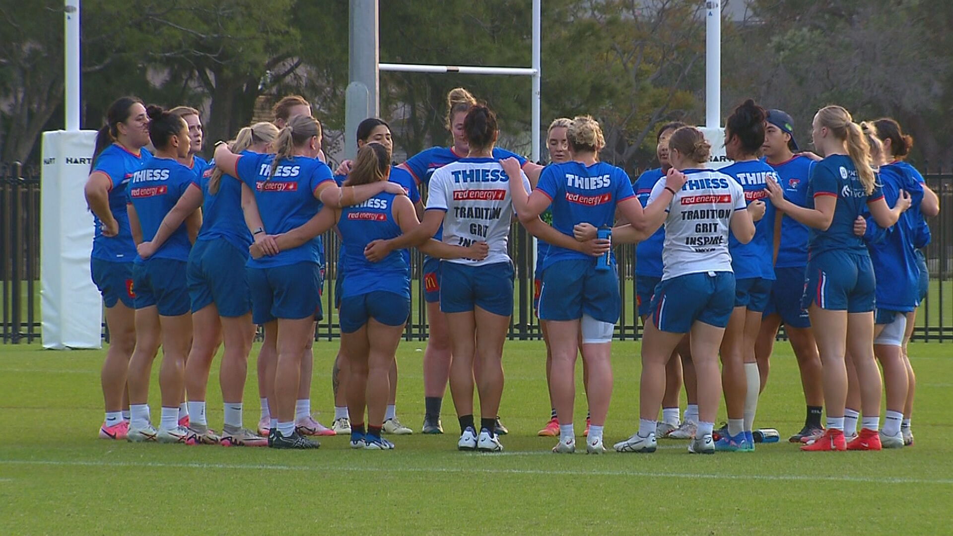 ted-lasso-helps-knights-nrlw-side-believe-nbn-news