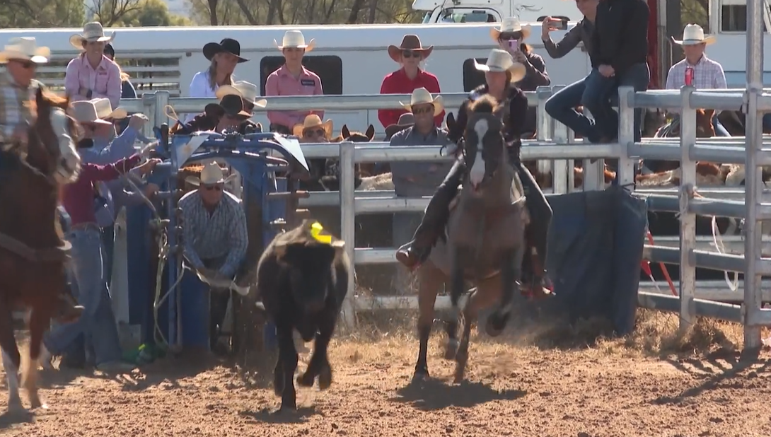 Saddle up for ABCRA rodeo final ahead of Tamworth return – NBN News