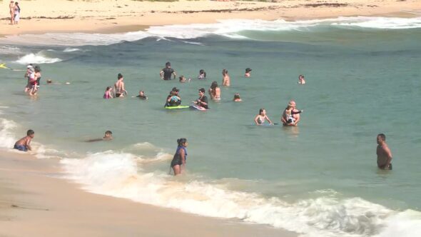 Man dies after being pulled from surf at NSW beach – NBN News