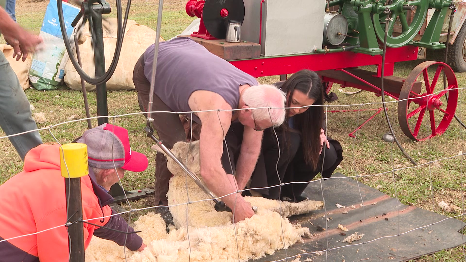 Manilla Vintage Machinery Group Rally NBN News manilla-vintage-machinery-group-rally-nbn-news