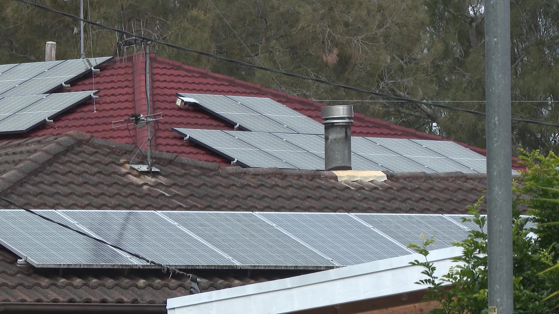 Community Power Network in Charmhaven – NBN News