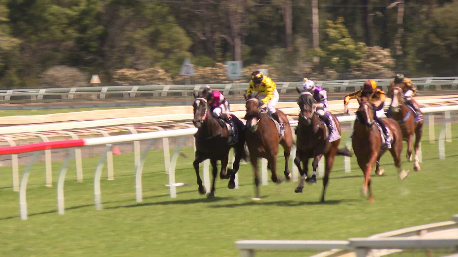 Taree Spring Racing Carnival gets underway – NBN News