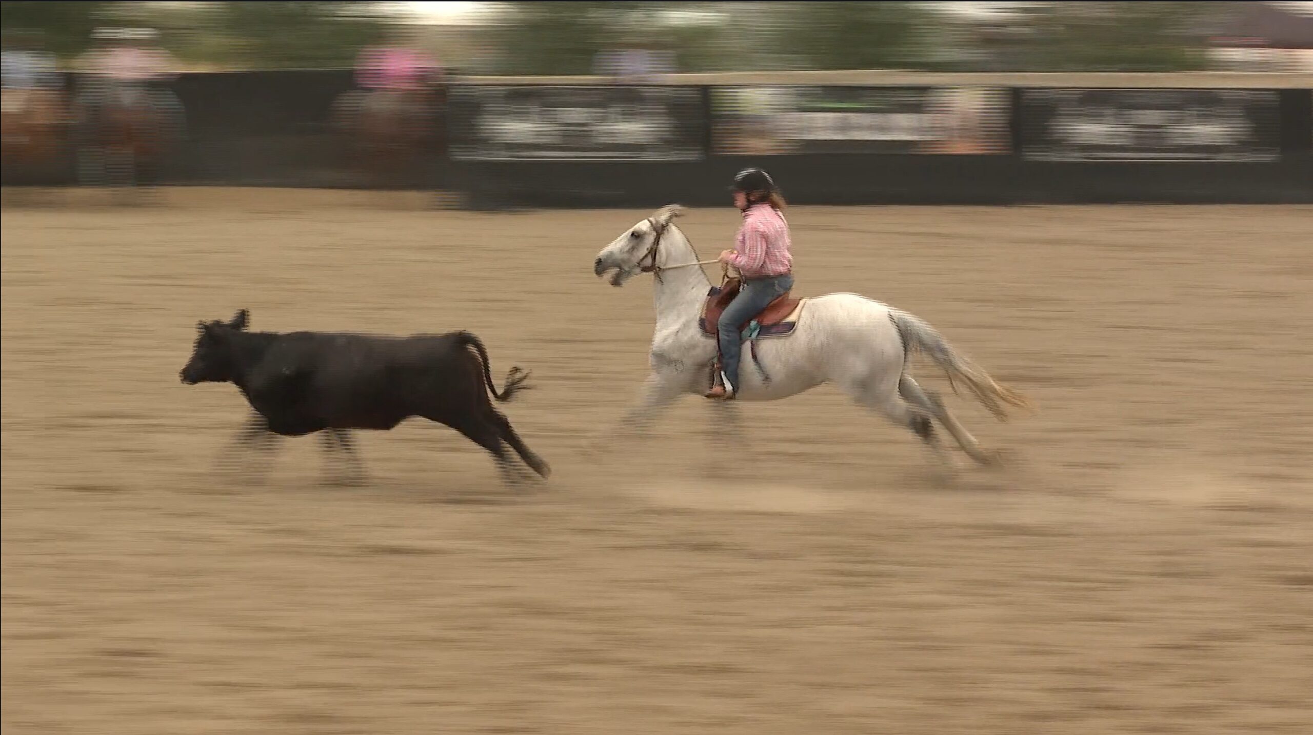 Clinics to competition | Riders show their skills in fifth TSPH ...