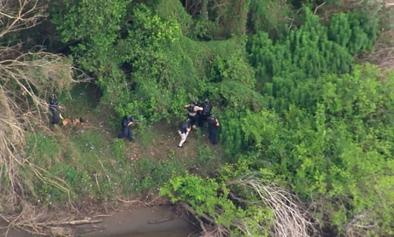 Man found not guilty of shooting murder near Port Macquarie – NBN News