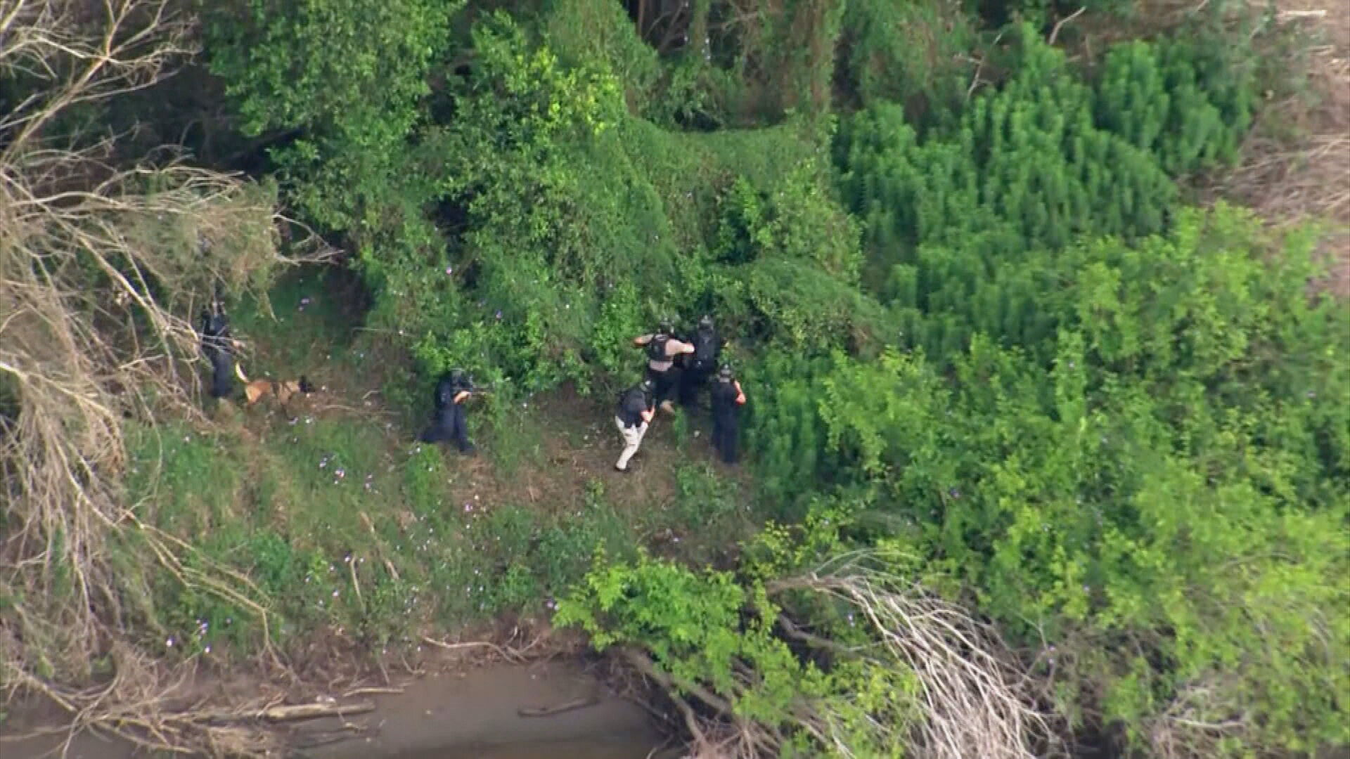 Man found not guilty of shooting murder near Port Macquarie – NBN News