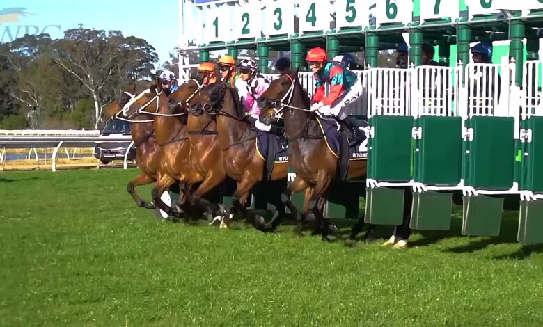 More than 100 horses to contest long weekend race meeting at Wyong ...