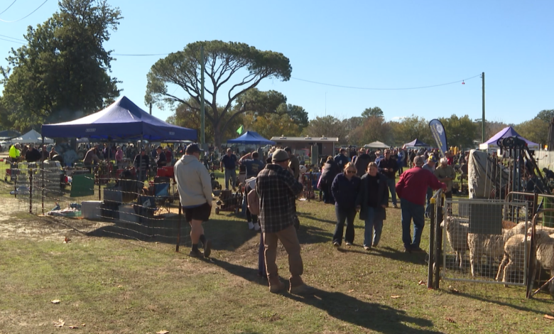 Manilla Rally A step back in time at Manilla vintage machinery rally – NBN News