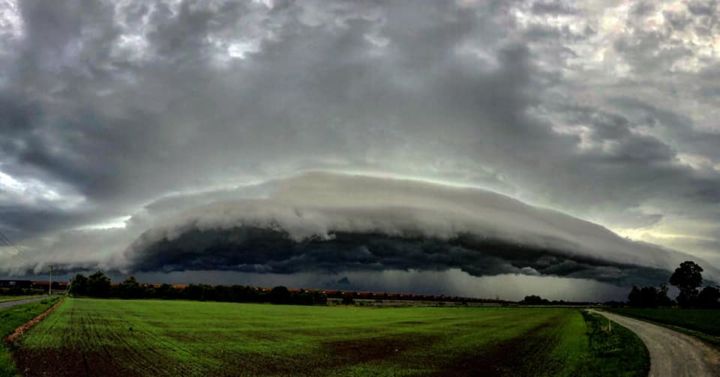 Photo: Fiona Mitchell @ East Maitland