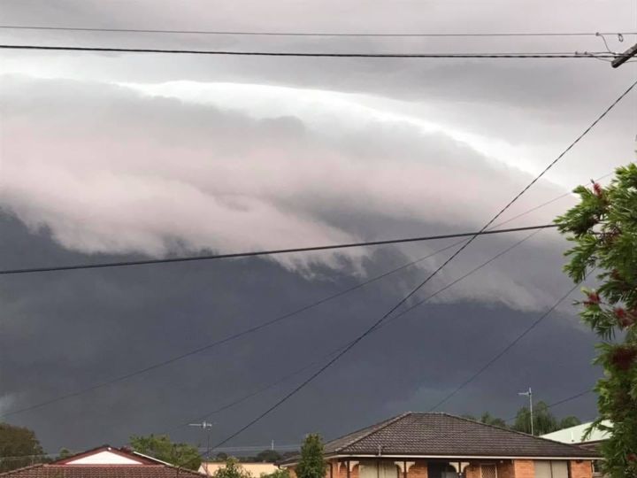 Photo: Kelly Robertson @ Central Coast