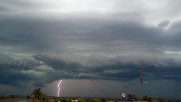 Photo: Vicki Jerrett @ Tamworth