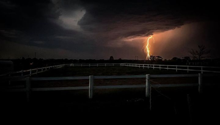 Photo: Maddie Burton @ Maitland